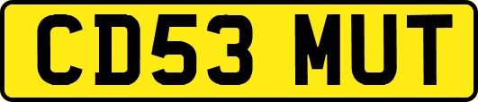 CD53MUT