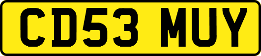 CD53MUY