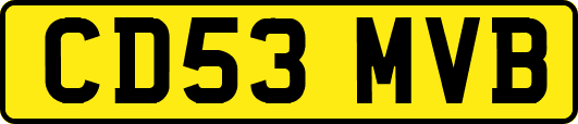 CD53MVB