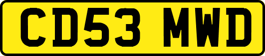 CD53MWD
