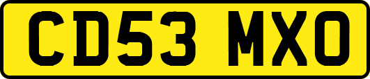 CD53MXO