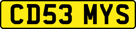 CD53MYS