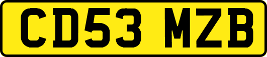 CD53MZB