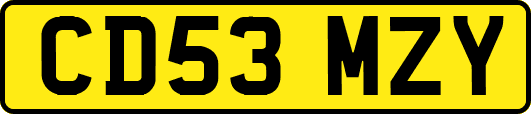 CD53MZY