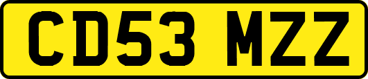 CD53MZZ