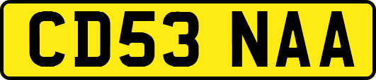 CD53NAA