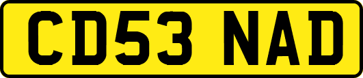 CD53NAD