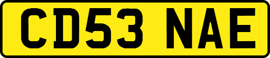 CD53NAE