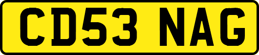 CD53NAG