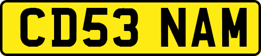 CD53NAM