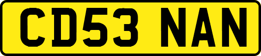 CD53NAN