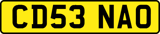 CD53NAO