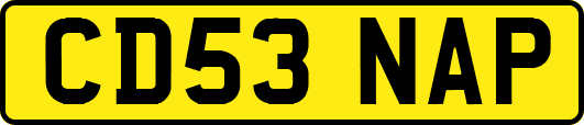 CD53NAP