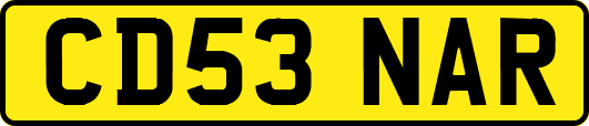 CD53NAR