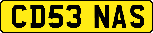 CD53NAS