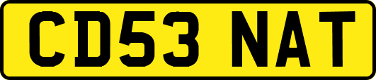 CD53NAT