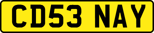 CD53NAY