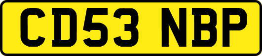 CD53NBP