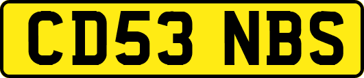 CD53NBS