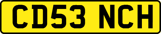 CD53NCH