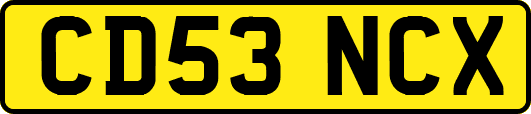 CD53NCX