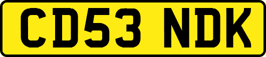 CD53NDK