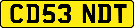 CD53NDT
