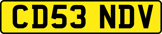 CD53NDV