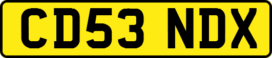 CD53NDX