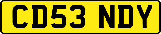 CD53NDY