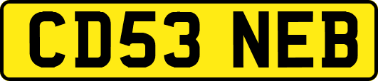 CD53NEB
