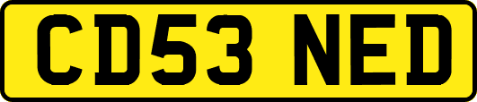 CD53NED