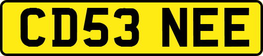CD53NEE