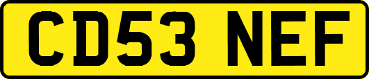CD53NEF