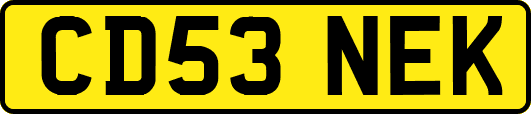 CD53NEK