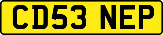 CD53NEP