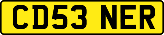 CD53NER