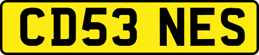 CD53NES