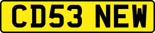 CD53NEW