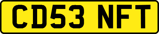 CD53NFT