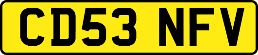 CD53NFV