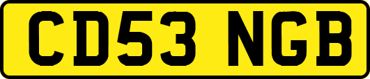 CD53NGB
