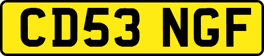 CD53NGF