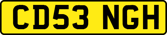 CD53NGH