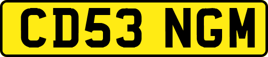 CD53NGM