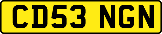 CD53NGN