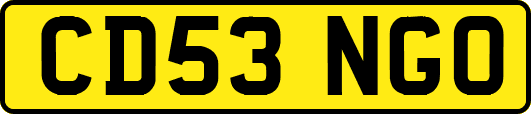 CD53NGO