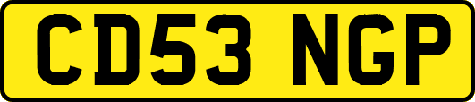 CD53NGP