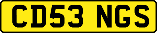CD53NGS