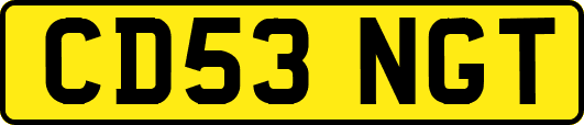 CD53NGT